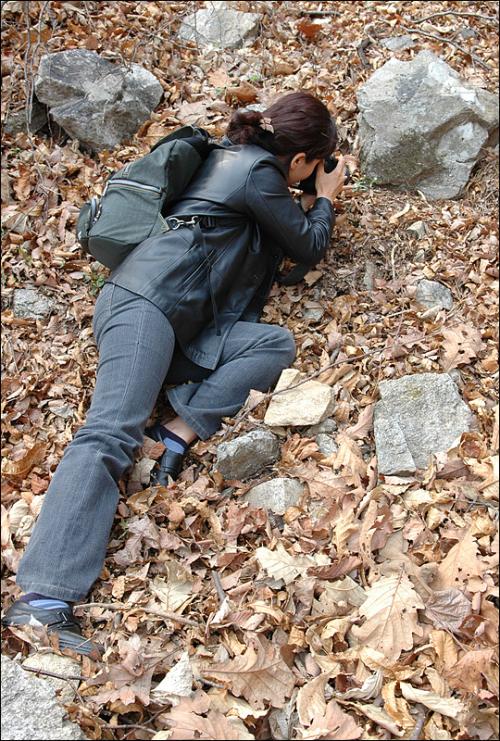 계룡산 상신리에서