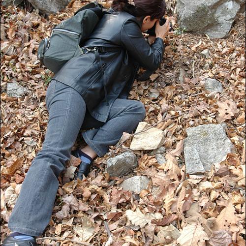 계룡산 상신리에서