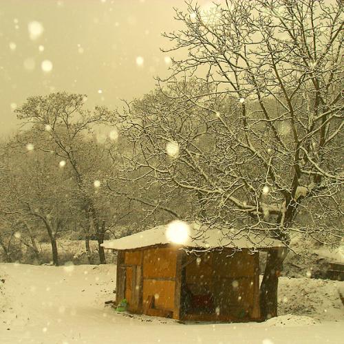 눈 내리는 소경...