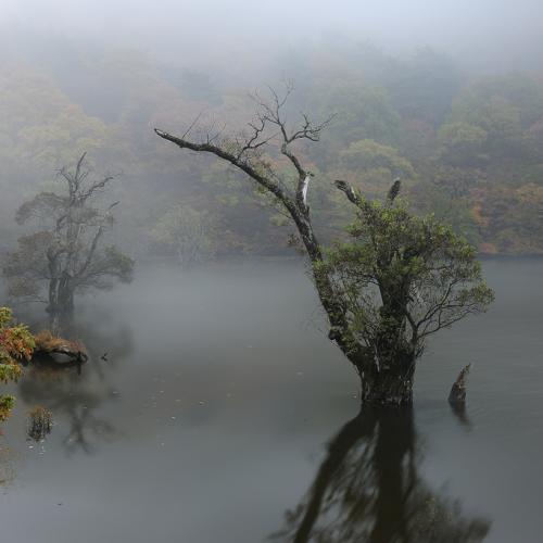고요속의주산지