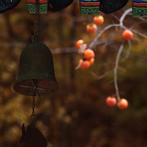 오늘 아침엔125탄