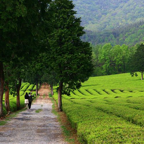 연인과의 나들이도 분위기 좋은곳으로....
