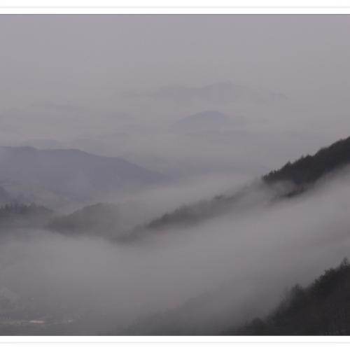 비오는 날 오후....