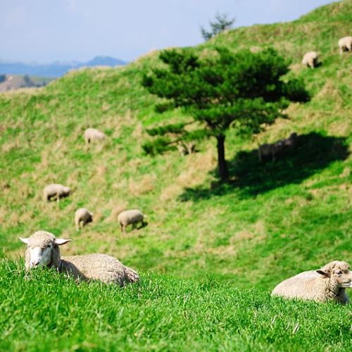 9월 정출 흔적남기기