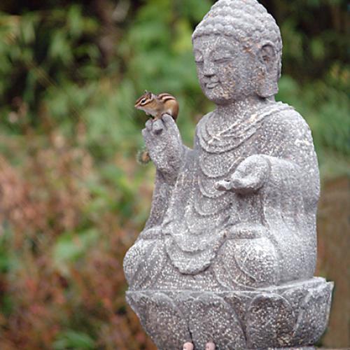 오늘 아침엔 125탄(다람쥐와새)