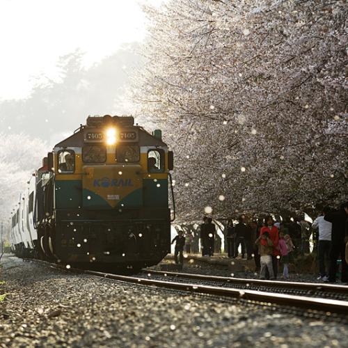 꽃 속을 달리다...