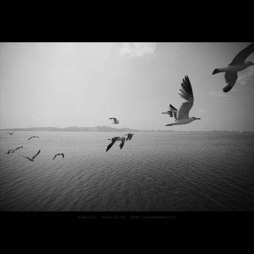 시간이 멈추길 바라며....