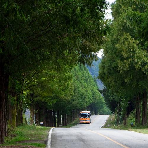 살기좋은 무진장