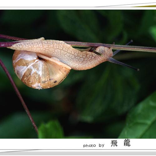 오늘 아침엔45탄