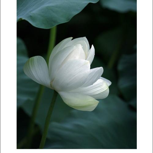 지당박물관에서