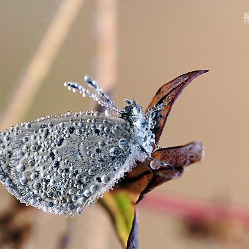오늘 아침엔126탄(이슬맞은것들)