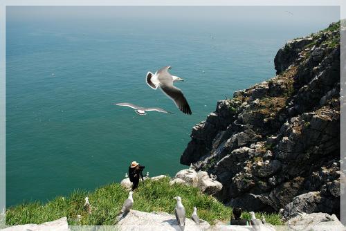 갈매기들의 천국,,,,그리고 열정의 진사님...^^