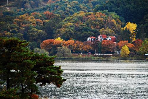 나미나라공화국3