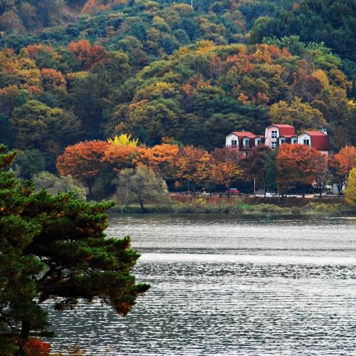 나미나라공화국3