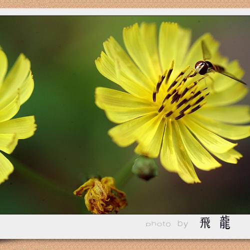 오늘 아침엔 46탄