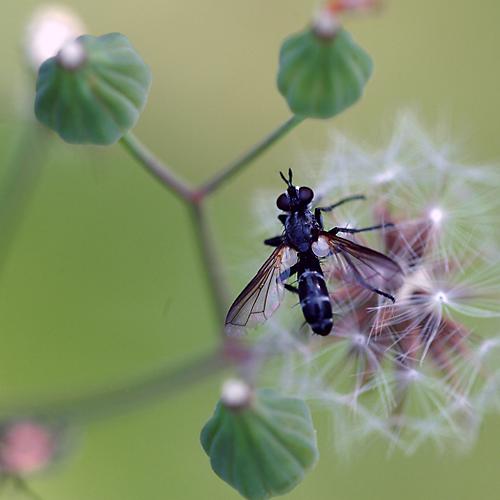 오늘 아침엔174-2탄