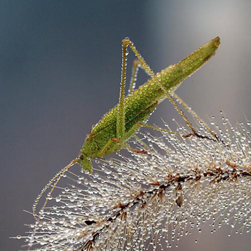 오늘 아침엔126탄(이슬맞은것들)
