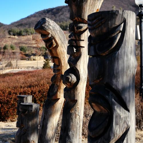 금강자연휴양림 갔다가^^