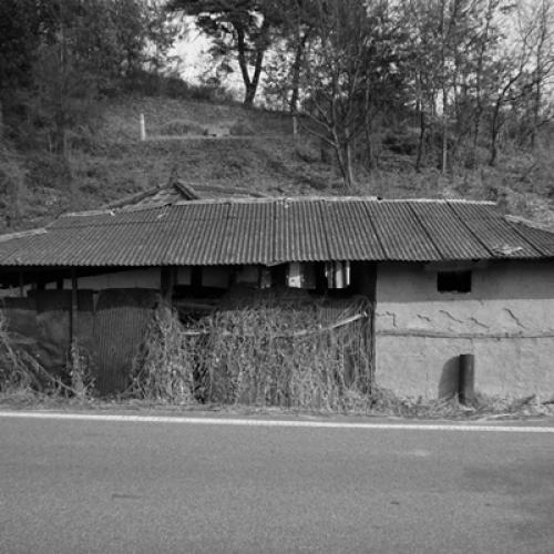 잠시 머물다가....