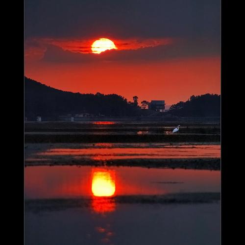 적어람(赤於籃)