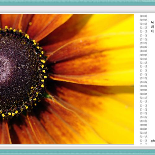 오늘아침엔47탄(변칙)