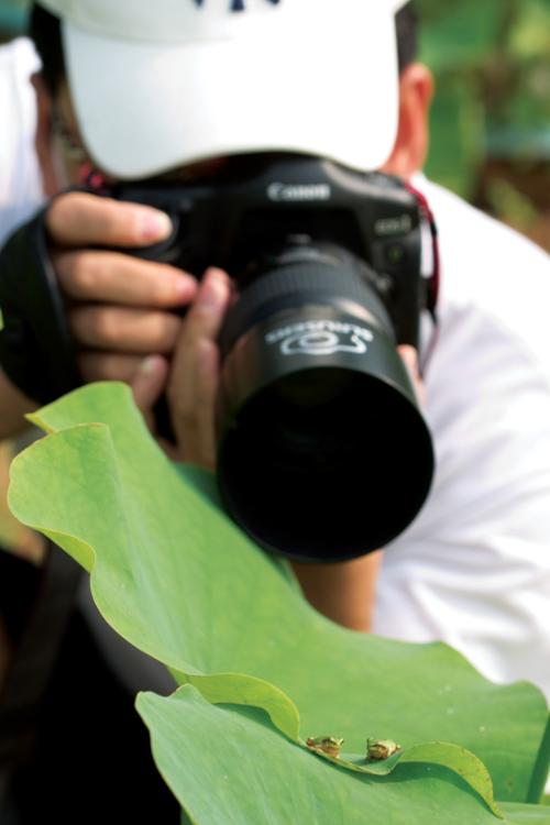 아이쇼핑님과 청개구리