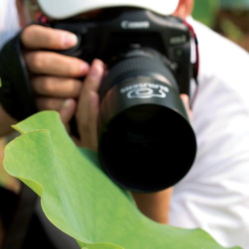 아이쇼핑님과 청개구리