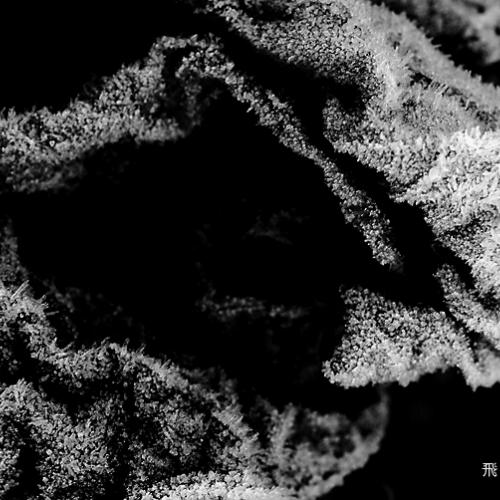 오늘 아침엔128(서리)-1탄