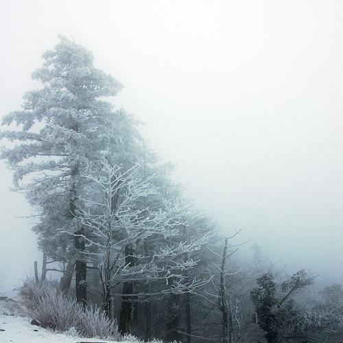 안개속 설경..