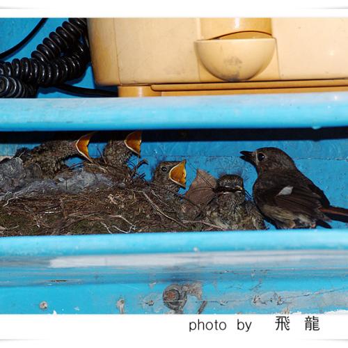 오늘 아침엔49탄(전화박스안의 모정)