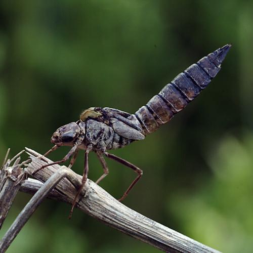 오늘 아침엔175-2탄(안타까움)