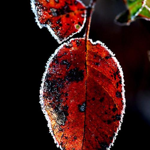 오늘 아침엔128(서리)-2탄