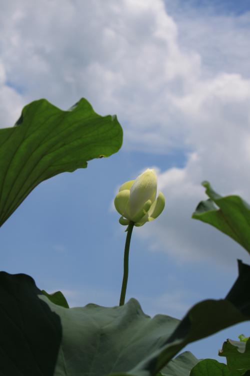 생존 신고 드립니다.