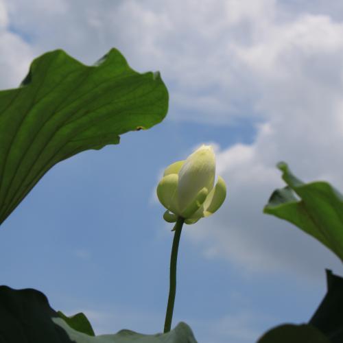 생존 신고 드립니다.