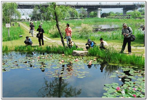 양평 세미원에서