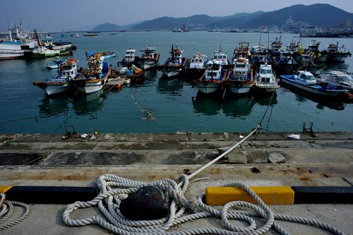 겨울 대천항....
