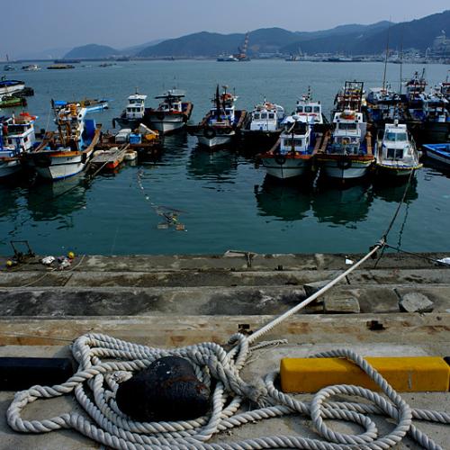 겨울 대천항....