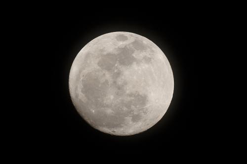 정월 대보름달 입니다.