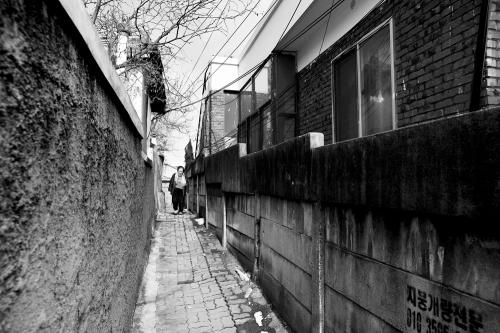 보문산 둘레길....??