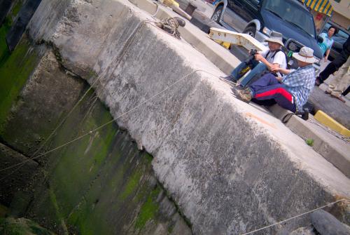 푸른하늘님, 아이쇼핑님 ... 그리고