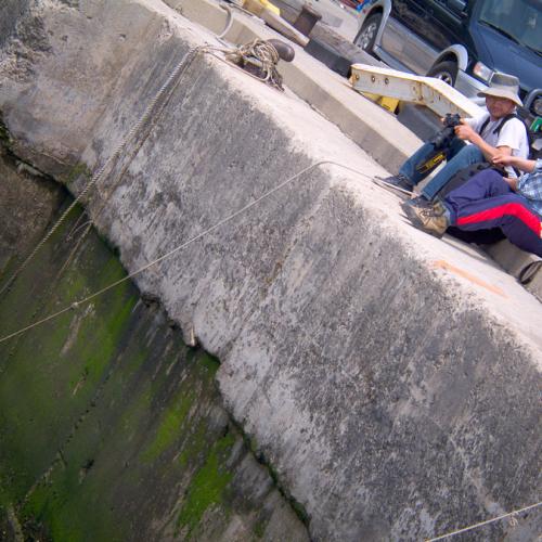 푸른하늘님, 아이쇼핑님 ... 그리고