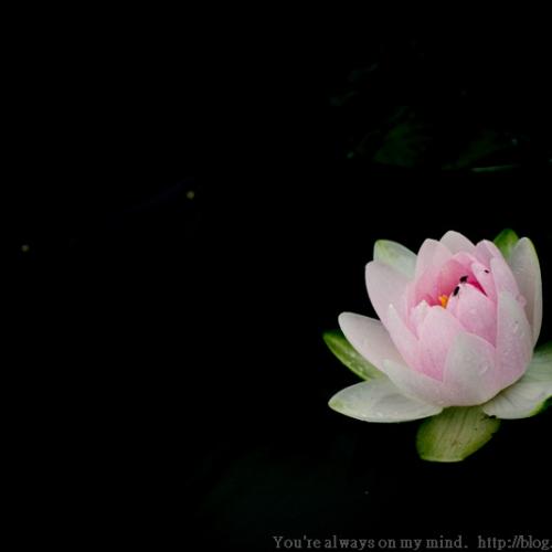 비오는 날의 초상화...