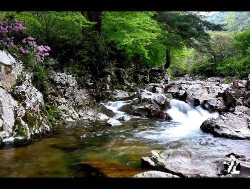 지리산 달궁 계곡
