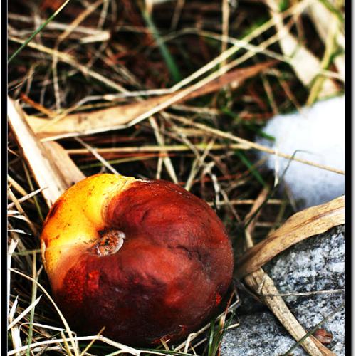 [10D] ㅁㅏ음II(Te)