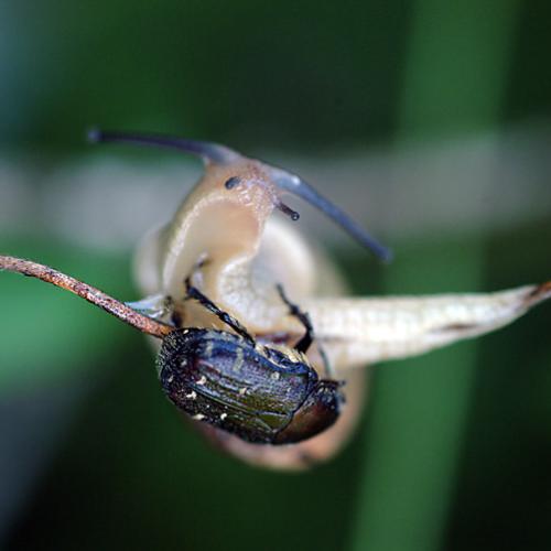 오늘 아침엔177탄(만남)