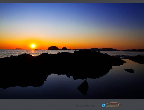 바다로 간 石魚