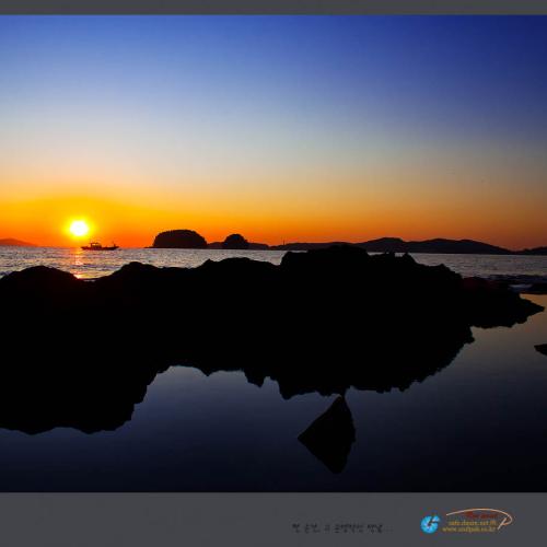 바다로 간 石魚