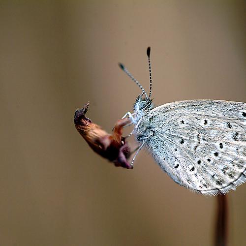 오늘 아침엔130탄