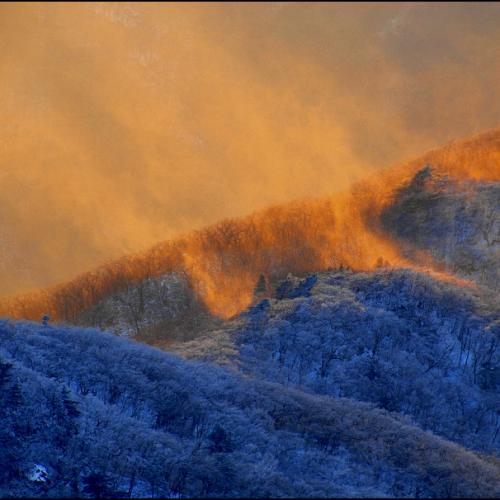 덕유산에  불 !!