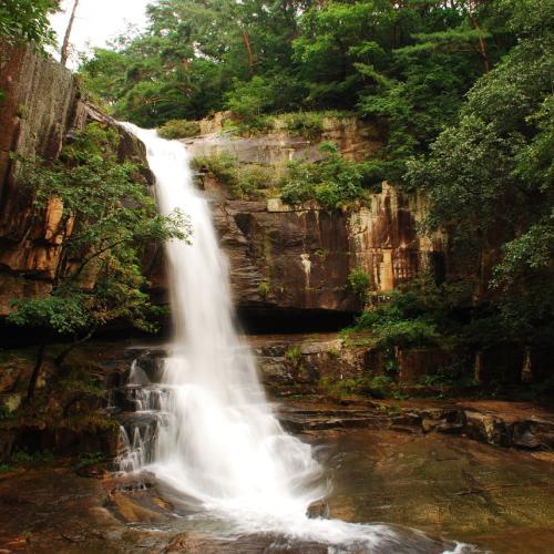 1박2일에 나온...